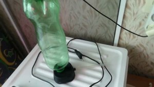 инкубатор автоматический отзыв и результат