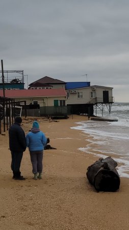 Мега шторм - Начало!  #Голубицкая Азовское море Вс, 24 нояб 2024