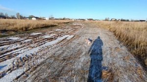 Влог.Консультация у подписчицы.Псковская жизнь