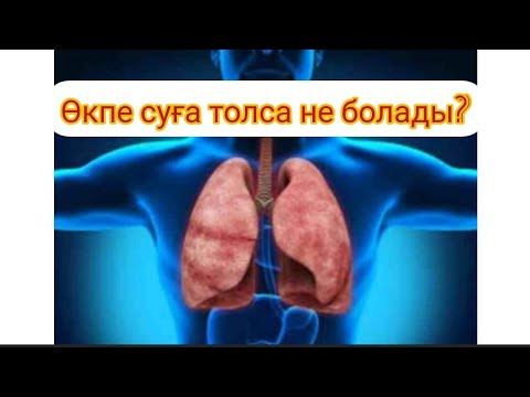 Су туралы қызықты мәлімет