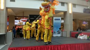 Chinese artists perform Dragon Dance at Pentagon Mall in Virginia