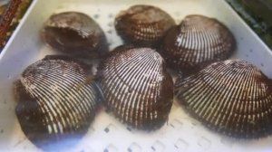 Японская уличная еда - красный моллюск, морепродукты Япония.