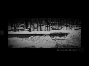 „Крик тишины”