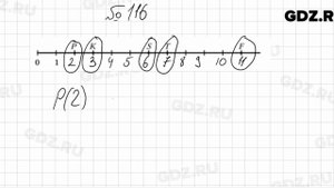 № 116 - Математика 5 класс Мерзляк