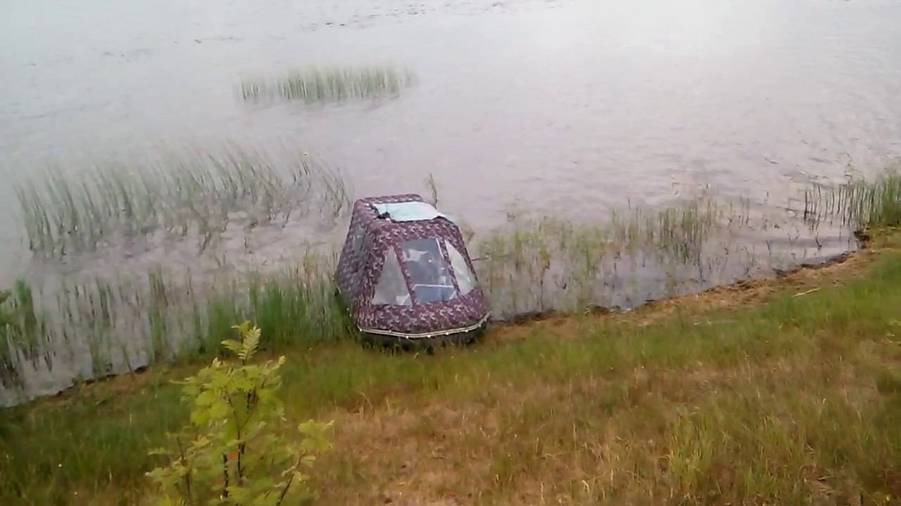 Выживание в дикой природе смотреть онлайн