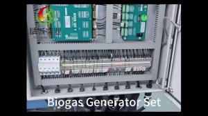 Biogas generator