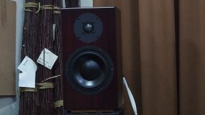 Totem Signature One Jazz Music