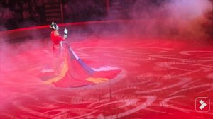 цирк 23 ноября 2024 г Донецк