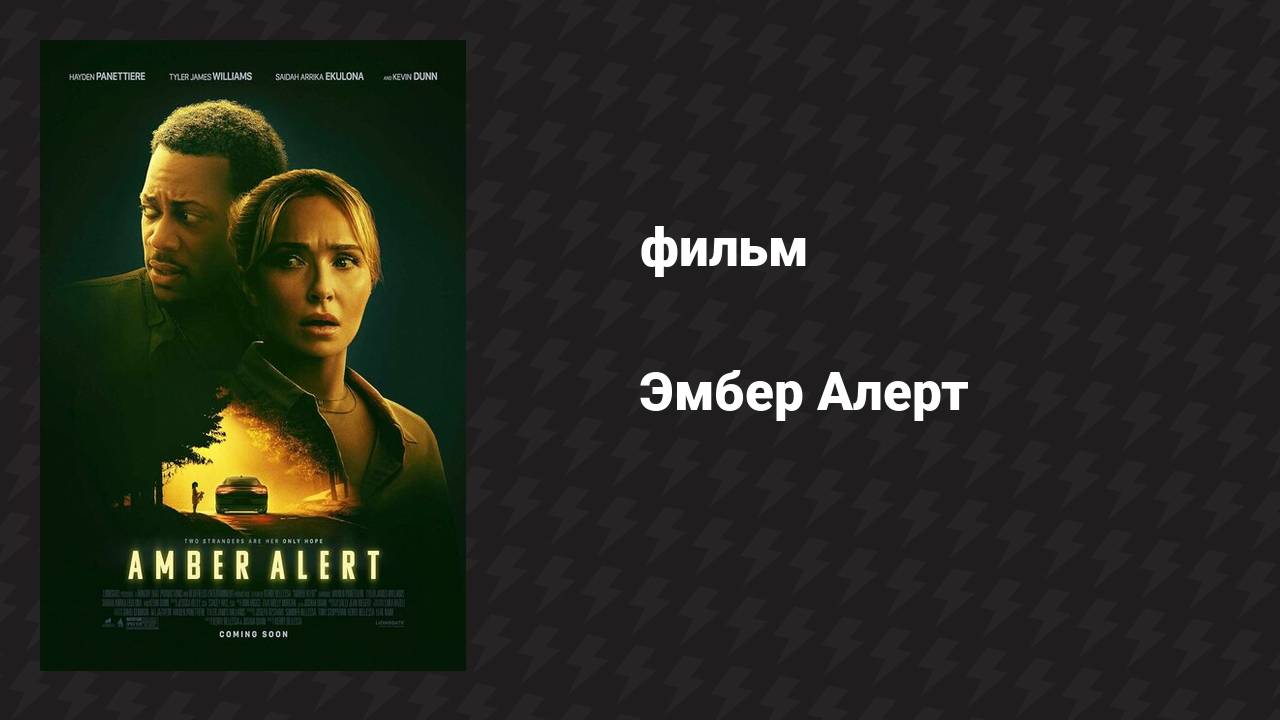 Эмбер Алерт (фильм, 2024)