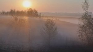 Минуты тишины