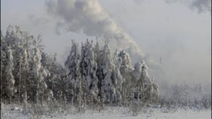 В Смоленской области более 100 сел оказались обесточены из-за снегопада