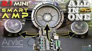 Arylic Up2stream Amp 2.1 (FNS)