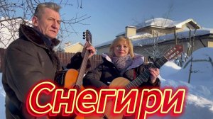 Снегири - кавер на знаменитую песню Сергея Трофимова