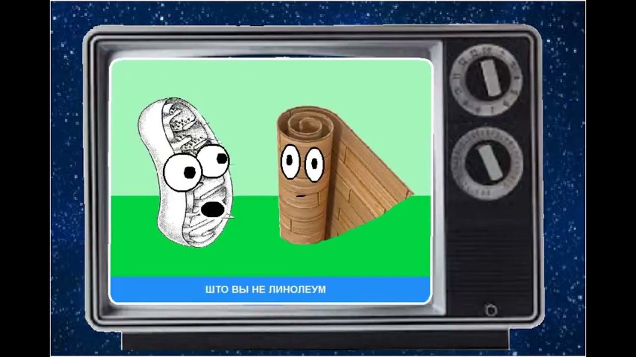 Бредовый влог ♦ Как не надо смотреть телевизор смотреть онлайн