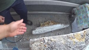 СХОДИЛА ЗА ХЛЕБУШКОМ .