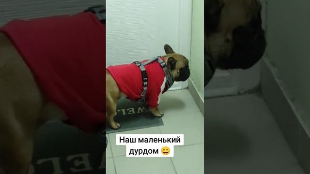 Арчи терпит из последних сил