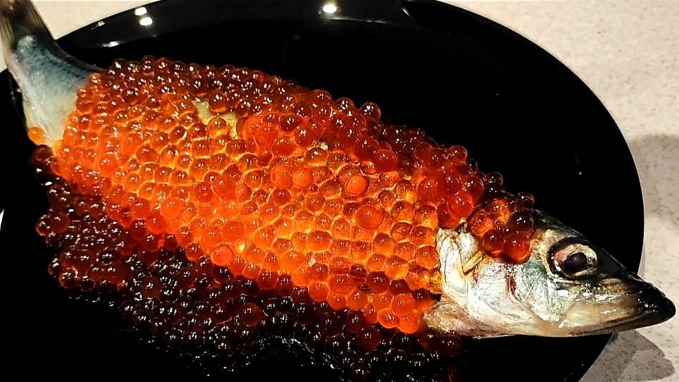 ШИКАРНАЯ ШУБА ДЛЯ СЕЛЁДКИ