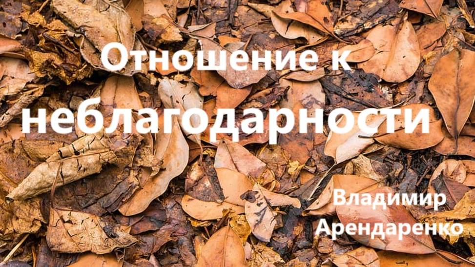 Отношение к неблагодарности. Владимир Арендаренко. 24.11.2024г.