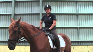 Fiber Fresh Feeds Equine TV: EP 42 - Using clear and precise aids