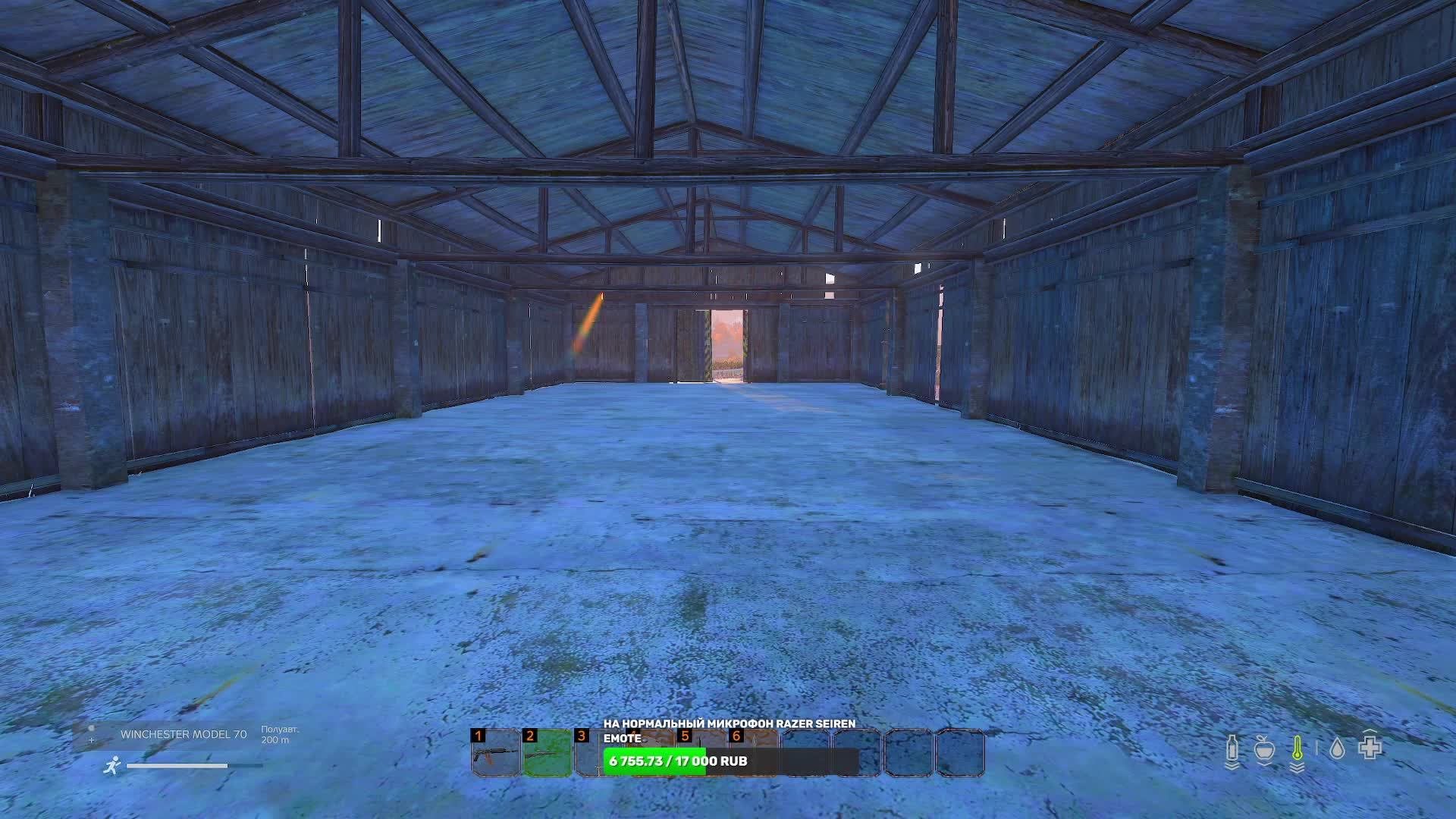 Dayz