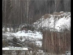 Горела свалка под Мичуринским  21 01 15