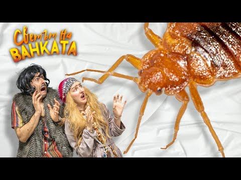 ДЪРВЕНИЦАТА