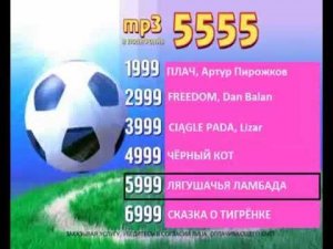 Реклама на BRIDGE TV 2011 (11/15)