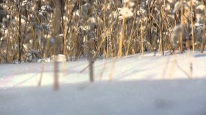 Canon EOS 60D EF-S 18-200 mm, 24 fps,ISO 200 video-test.mov