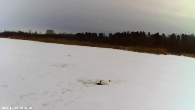 Флажки сработали.