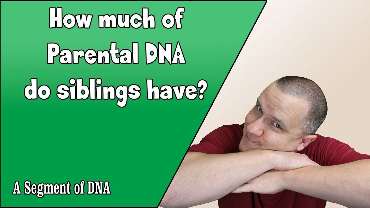 How Much DNA Do Siblings Get From Their Parents? | Genetic Genealogy