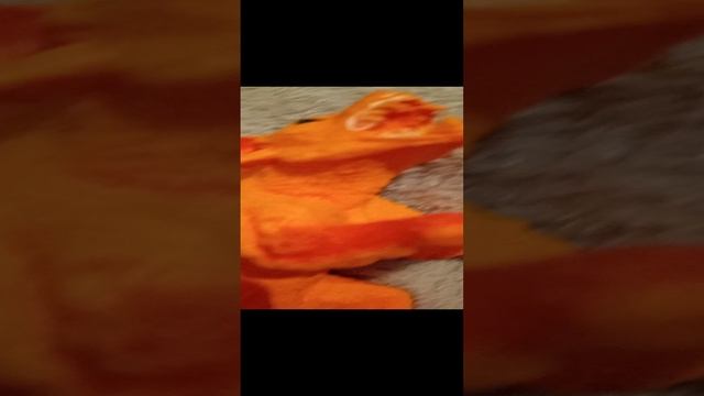 24-11-2024