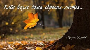 Клён возле дома сбросил листья...