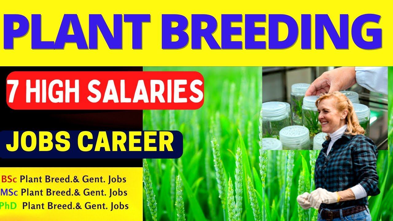 Plant Breeding and Genetics Job Salary I bsc plant breeding and genetics jobs I msc plant breeding