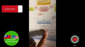 Basic Life Support Algorithm CPR Rescue Breath | American Heart Association