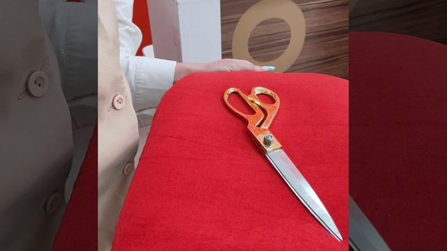 Первый заместитель главы администрации Азовского района Елена Олейник приняла участие в торжественно