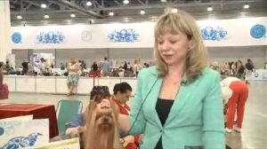 Чемпионат мира/ СОБАКИ ,WDS 2016 /видео для внутреннего пользования, публичное размещение запрещено/