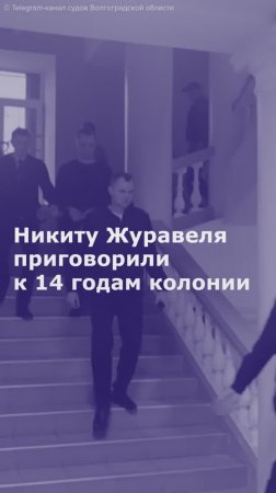 Журавеля приговорили к 14 годам колонии строгого режима