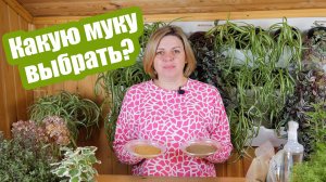 5 видов МУКИ ДЛЯ ОГОРОДА: какая из них может быть опасна!