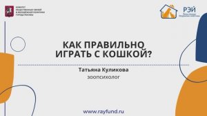 Как правильно играть с кошкой?