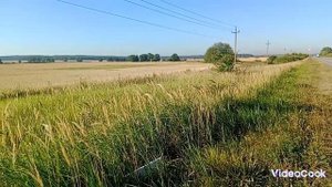 Осенний полевой коп