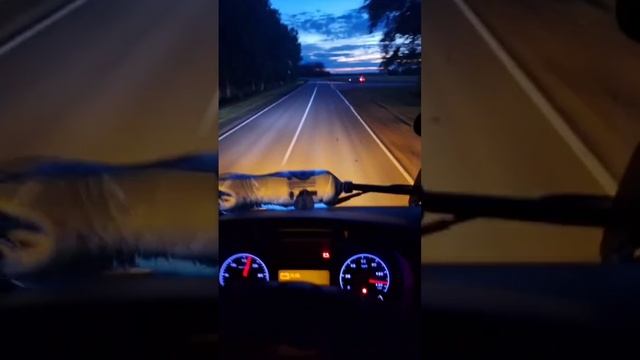 #музыка #дороги #дальнобой