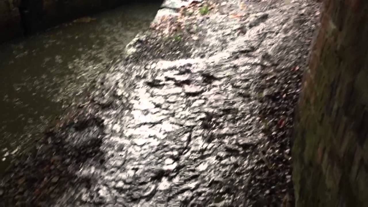 Heavy rain shower смотреть онлайн