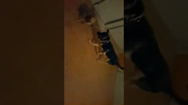 15 февраля 2016 г. смотреть онлайн