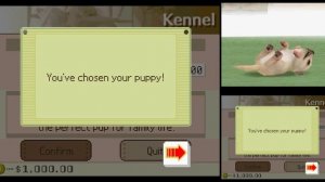 NDS - Nintendogs: Chihuahua & Friends