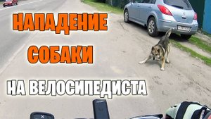 Соло покатушка по лесу и по городу Барнаулу. Нападение собаки.