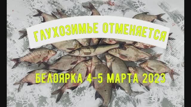 Лещ на коромысло. Глухозимье отменяется. Белоярка 4-5 марта 2023