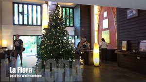 Hotel La Flora in Khao Lak