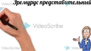 Редкие растения Донбасса