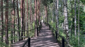 Босоногая тропа. Лето 2024