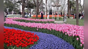 Стамбул 2024. Как найти бесплатную Цистерну в парке Гульхане